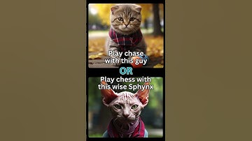 Sphynx or kitten?! ❤️ #cats #shorts #ai