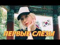 Корея VLOG#4 / Сеул: тайфун в Корее, слёзы и уличные коты