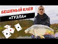 Сосновка ловля карпа на флет фидер, бешеный клев "тузла"