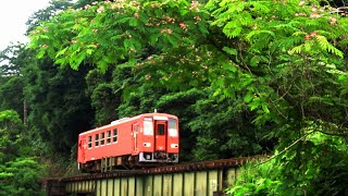 トコトコいくよ JR木次線 (26-Jun-2020)