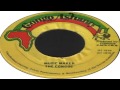 Miniature de la vidéo de la chanson Reggae Revival