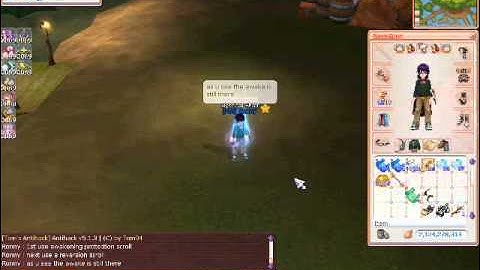 Flyff V17: Scroll of Awakening Protection