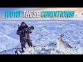 Frozen Moorlands & Elusive Mountain Hares! Winter Wildlife Photography!