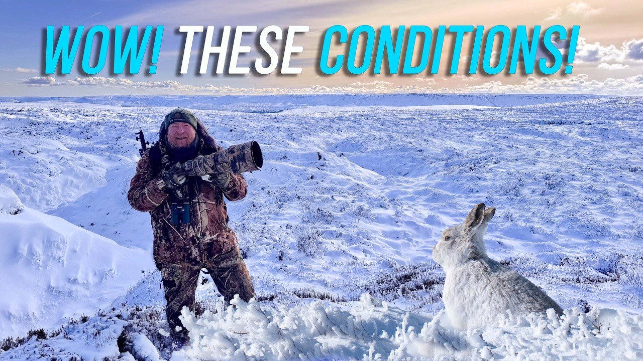 Frozen Moorlands & Elusive Mountain Hares! Winter Wildlife Photography!