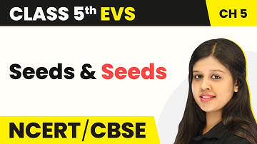 Class 5 EVS Chapter 5 | Seeds and Seeds | NCERT Class 5 EVS