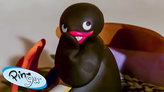 Pingu The Prankster! 🐧 | Pingu - Official Channel | Cartoons For Kids