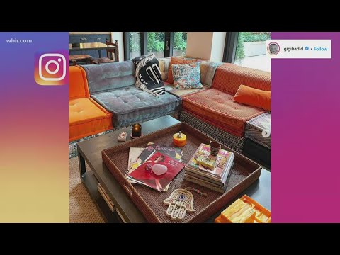 What's Trending: Tom Hanks & Rita Wilson, Teddy Bear search & Gigi's quirky home