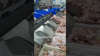 chicken leg weight sorting machine for hot sale