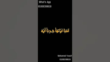 حالات واتس امنا ليكوا خدنا ايه محمد الريفى 