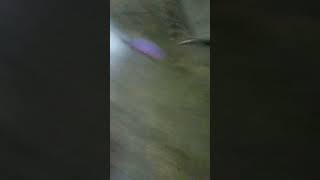 Download Lagu 22 Oktober 2024 MP3