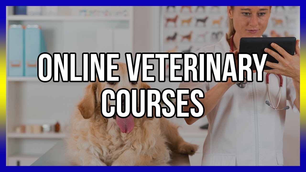 veterinary course in distance education