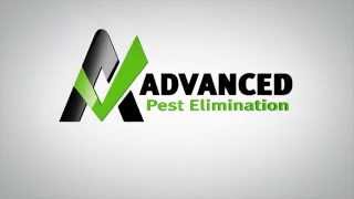 Pest Control: Welcome To Advanced Pest Elimination Online