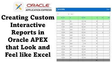 Oracle APEX Customization: Create Interactive Reports that Resemble Excel Spreadsheets