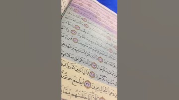 تلاوة عطرة من آيات الذكر الحكيم#سلطنة_عمان