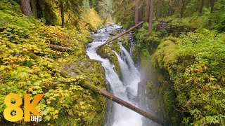 Timeless Charm of Sol Duc Falls in 8K, Olympic National Park, WA - 3 HRS of Splendid Waterfall Views