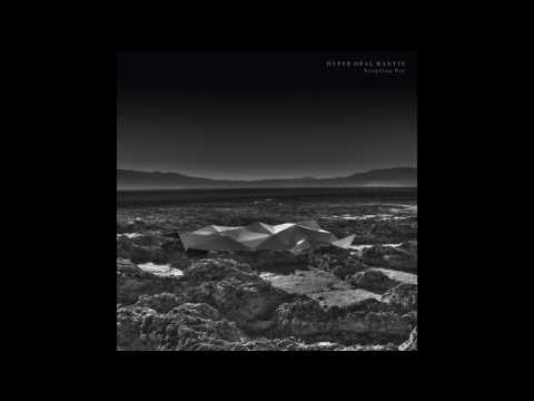 Kangding Ray - RUBI [Stroboscopic Artefacts SALP005 - SACD008]