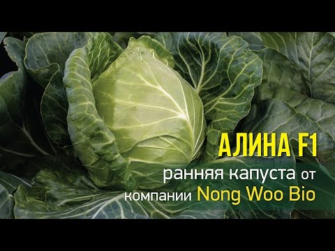 Βίντεο: Τι είναι η υβριδική καλλιέργεια;