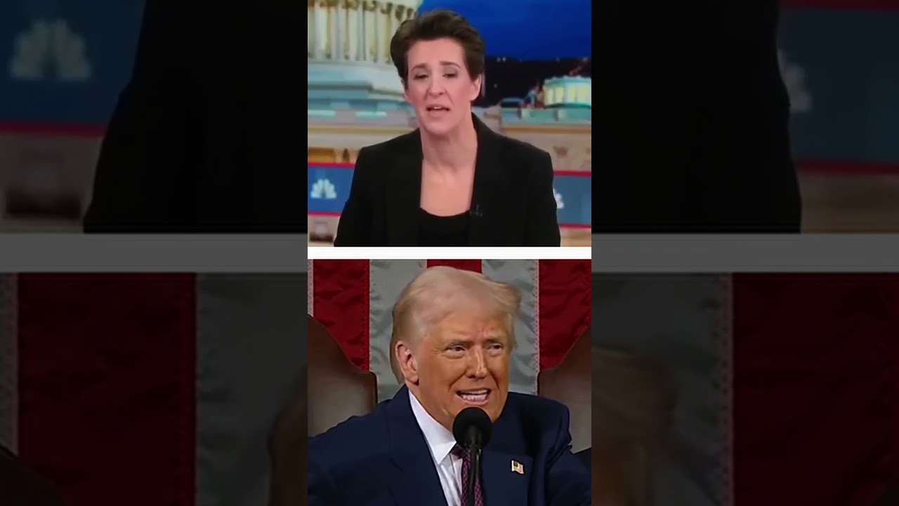 Rachel Maddow "Disgusting" Trump - DJ Daniel 