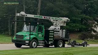 AA Tree Service Review Video - Local Tree Removal Company Servicing MA & NH