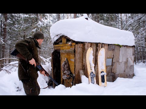 Видео: НАШЁЛ ДОМИК В ЛЕСУ. ЗАГАДКА ПАДАЮЩЕЙ БУДКИ...