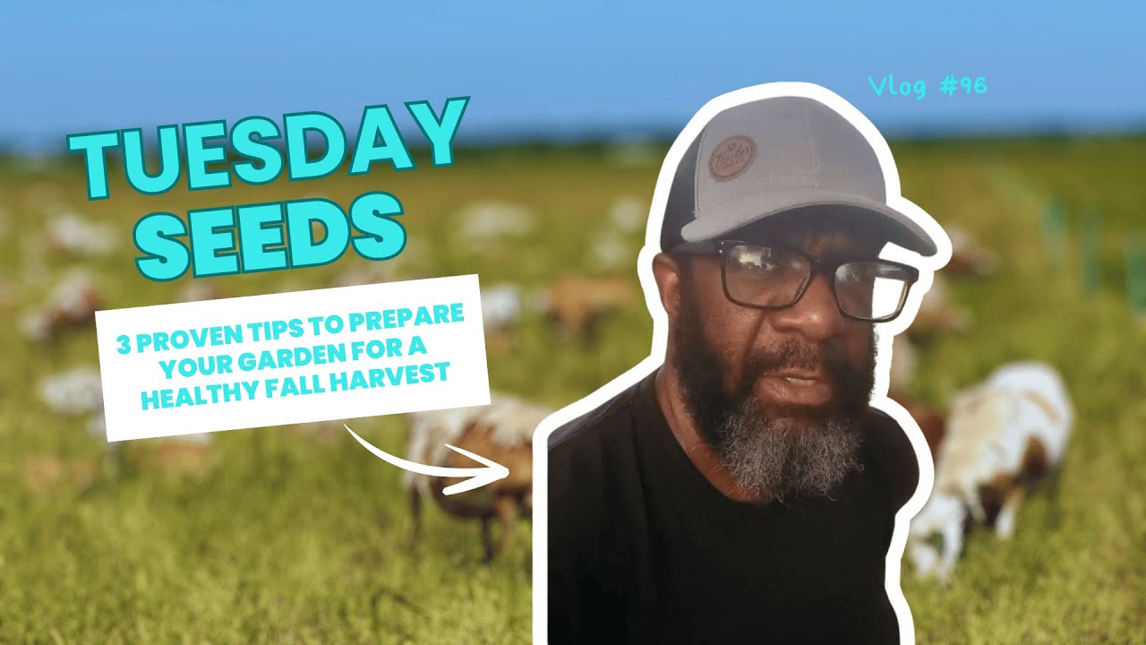 3 Proven Tips to Prepare Your Garden for a Healthy Fall Harvest - YouTube