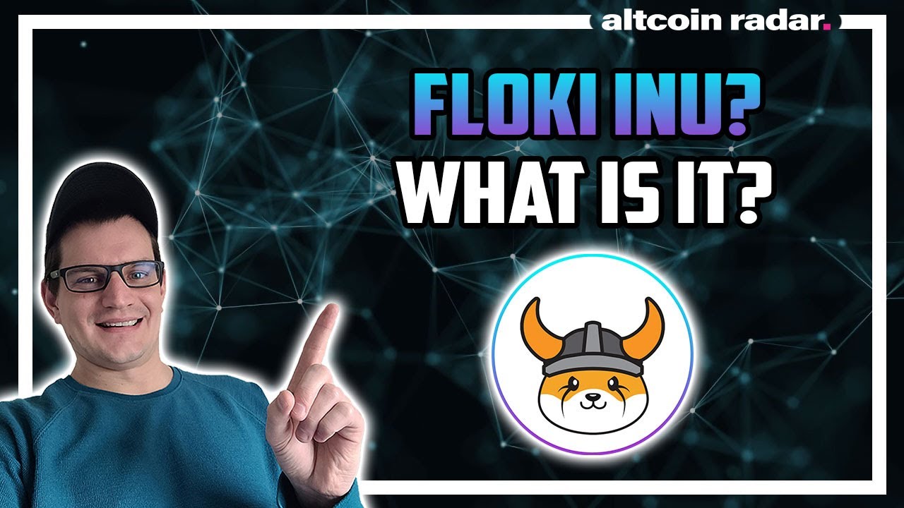 What is Floki Inu? Floki Inu for Absolute Beginners
