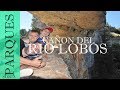 Parque Natural del Cañón del Río Lobos | SORIA #4