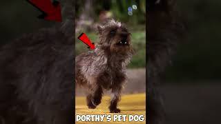 The Wizard Of Oz Has A Dark Secret