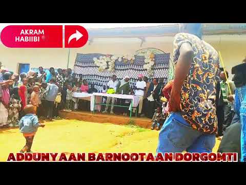 New Nashiida Bareeddu 2025 By AKRAM HABIIBI