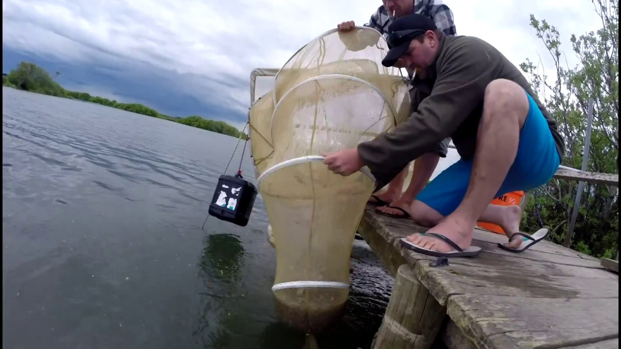 HUNTING NZ DEEP SOUTH 6 