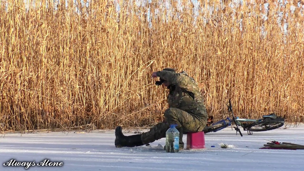 Первая рыбалка на льду 2018. НАКОНЕЦ-ТО! Зимняя рыбалка. Ловля живца для жерлиц на щуку.