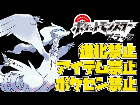 #11「進化禁止・アイテム禁止・ポケセン禁止」縛りでポケットモンスター ブラックをクリアする男の配信!