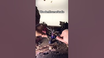 How to make stop motion #stopmotion #nature #forest #woodenhoursestudio #animation