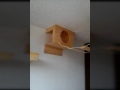 Gimnasio para gato 100% en madera