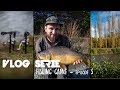 Vlog serie - Fishing game épisode 5 - Pêche à la carpe 2018