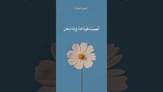 اكتب شيئا تؤجر عليه | سورة البقرة | القارئ مشاري العفاسي screenshot 5