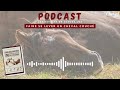 Podcast les astuces de claude lux  faire se lever un cheval couch