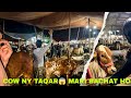 MANDI VLOG KA PART 2