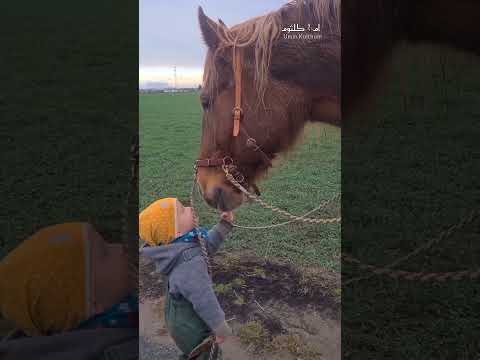 يا أرق من النسمة