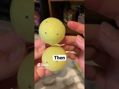 Can You Dye Plastic Easter Eggs