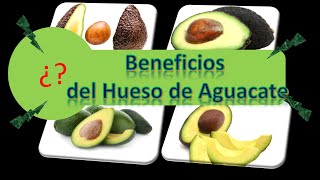 Beneficios del Hueso de Aguacate