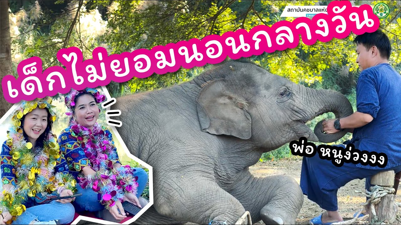 มีนา พาเพลิน 31 ธันวาคม 2567 ผลของการไม่นอนกลางวัน หนูเลยมาง่วงนอนตอนไลฟ์