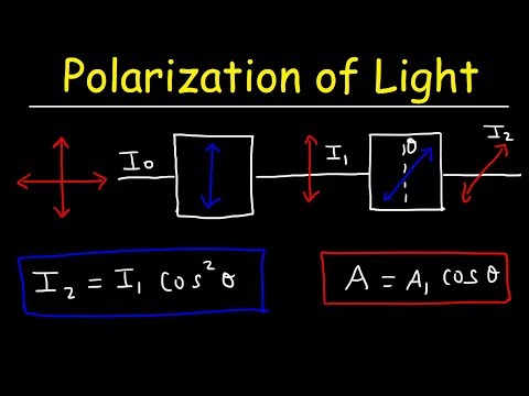 Polarization of light Problems, Malus Law - Intensity & Amplitude - Physics