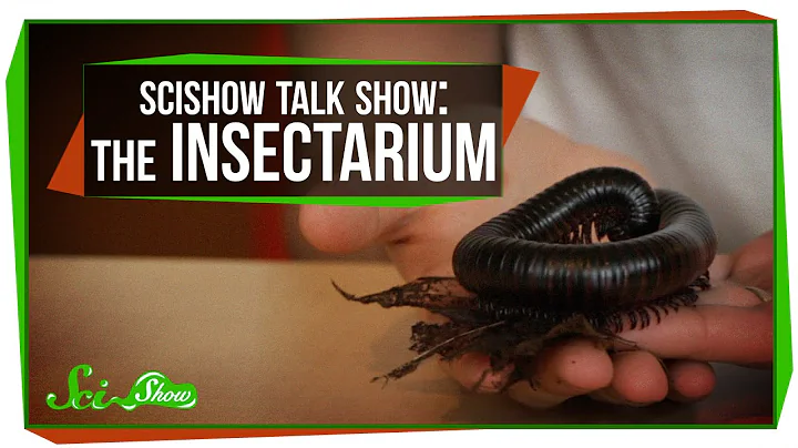 SciShow Talk Show: The Insectarium with Olivia Gor...