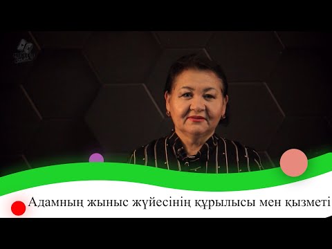 Бейне: Адамның негізгі биологиясы қандай?