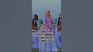Dhaanto Cusub 2025 The Dance That Stole Somalia S Heart 