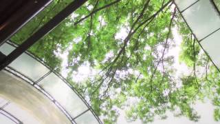 ラッセンブリ広尾 PV ラッセン 検索動画28 ラッセンブリ広尾 PV ラッセン 検索動画 28