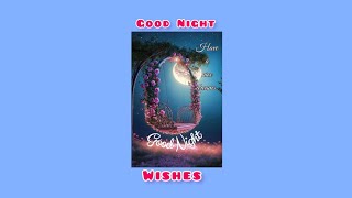 Good Night Wishes 💤
