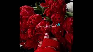 Whatsapp Ucun Maraqli Statuslar,Sevgiye Aid Video,Sounds App Status Ucun Qisa Videolar 2022