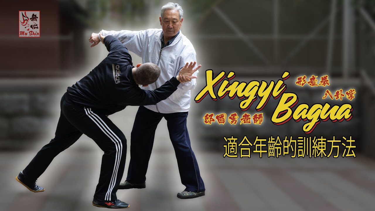 形意拳 & 八卦掌 - 邸国勇论一岁以致练